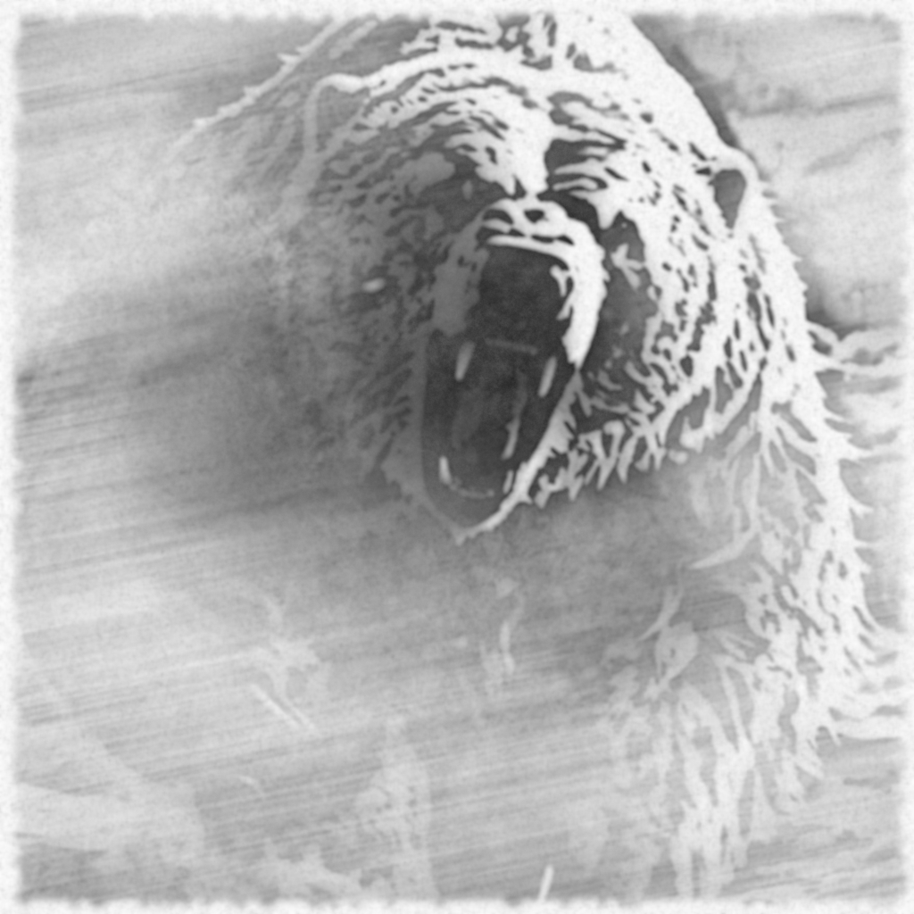 Frost-Bären / Skjaldbergr
