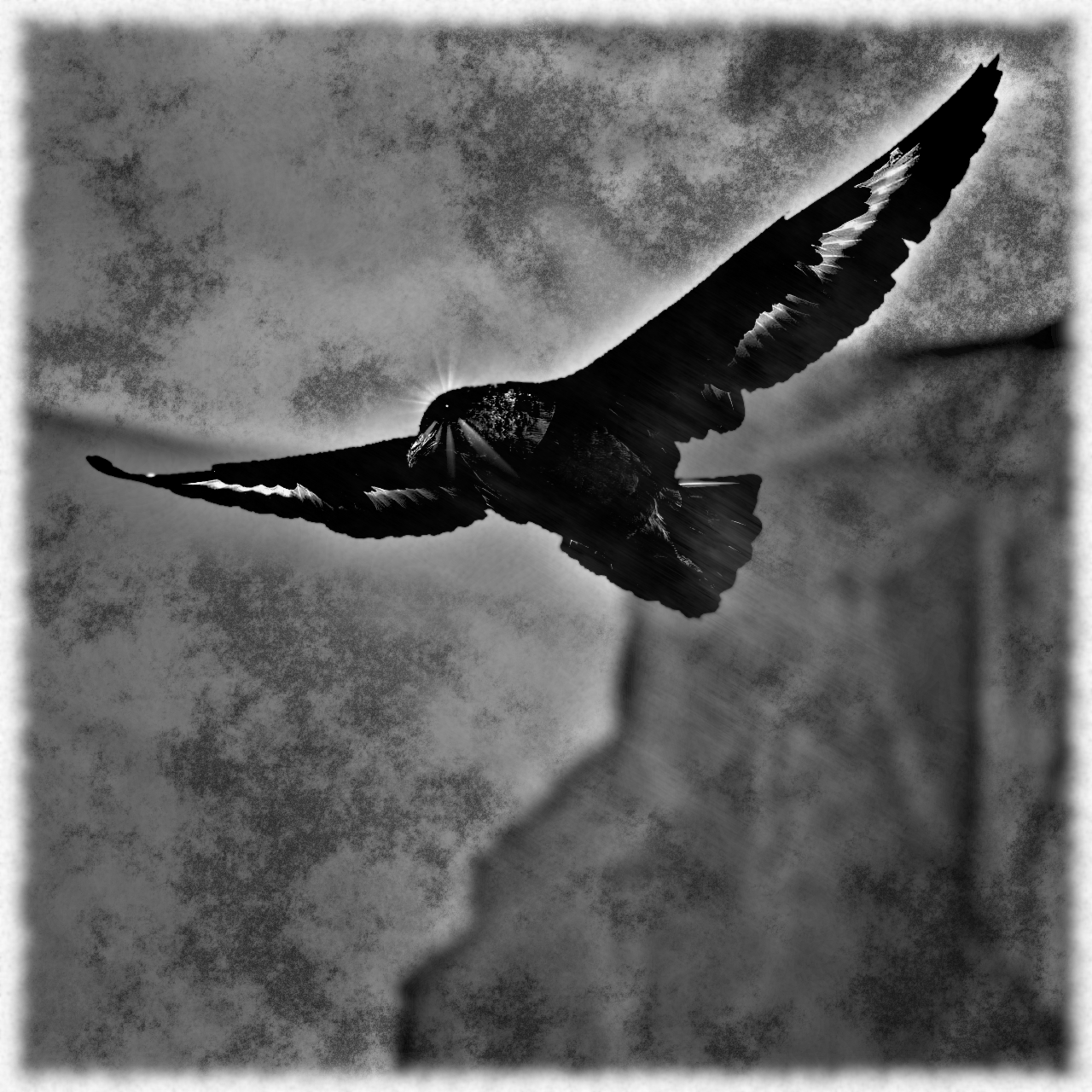 Frost-Flügel / Skuggönd